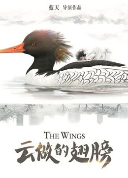 云做的翅膀 海报 高清在线观看