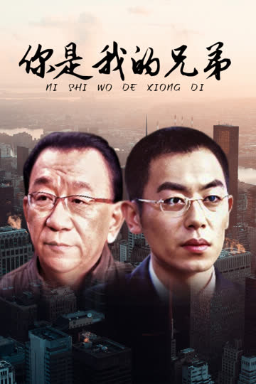 你是我的兄弟 海报 高清在线观看