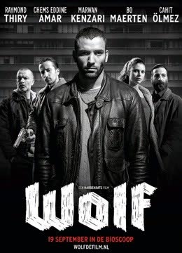 狼（2013） 海报 高清在线观看