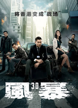 风暴（粤语） 海报 高清在线观看