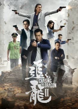 追龙2：追缉大富豪 海报 高清在线观看