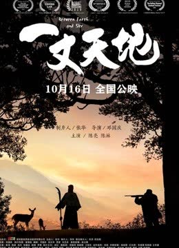 一丈天地 海报 高清在线观看