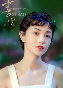 喜宝 海报 高清在线观看