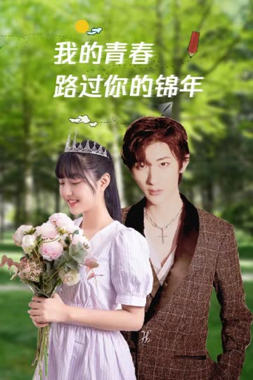 我的青春路过你的锦年 海报 高清在线观看