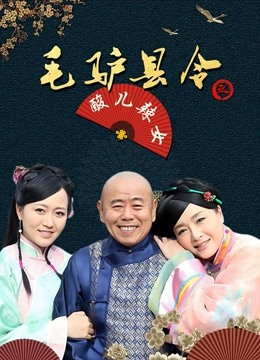 毛驴县令之酸儿辣女 海报 高清在线观看