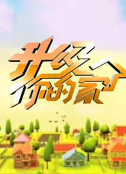 升级你的家 海报 高清在线观看