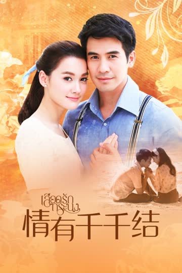 情有千千结 TV版 海报 高清在线观看