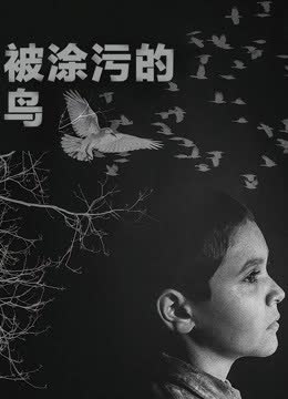 被涂污的鸟 海报 高清在线观看