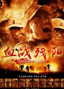 血战残阳 海报 高清在线观看
