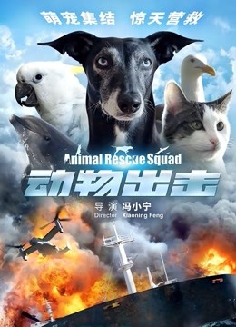 动物出击 海报 高清在线观看