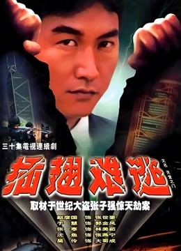 插翅难逃张治中版 海报 高清在线观看