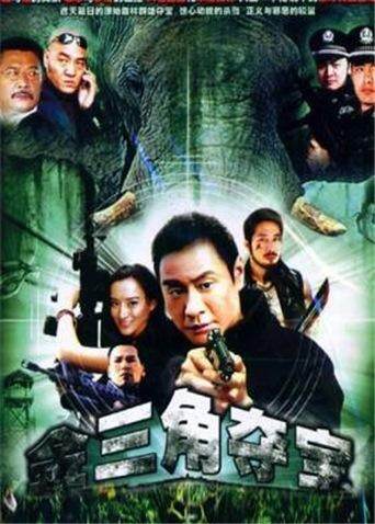 金三角夺宝 海报 高清在线观看