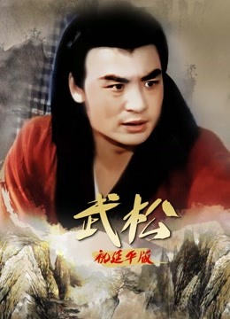 武松祝延平版 海报 高清在线观看