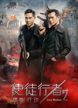 使徒行者2：谍影行动（粤语） 海报 高清在线观看