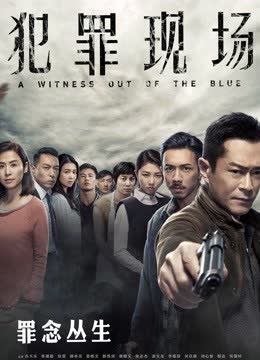 犯罪现场（粤语） 海报 高清在线观看
