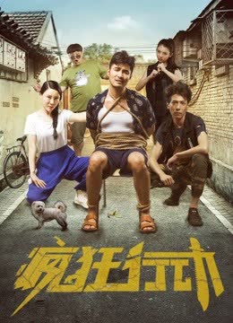 疯狂行动 海报 高清在线观看
