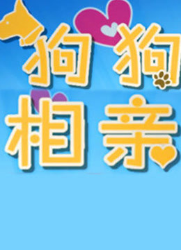 狗狗来相亲 海报 高清在线观看