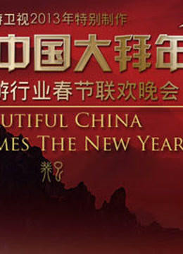 旅游卫视2013春晚 海报 高清在线观看