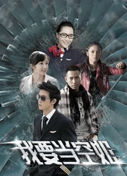 我要当空姐 海报 高清在线观看