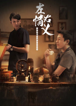 左情右义 海报 高清在线观看