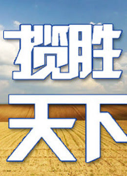 揽胜天下 海报 高清在线观看
