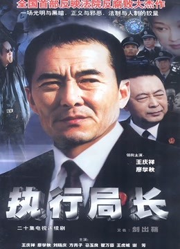 执行局长 海报 高清在线观看