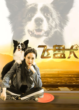 飞盘犬 海报 高清在线观看