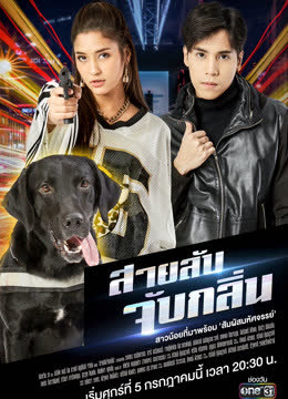 侦探K9普通话版 海报 高清在线观看