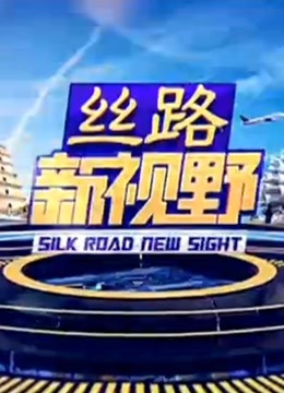 丝路新视野 海报 高清在线观看