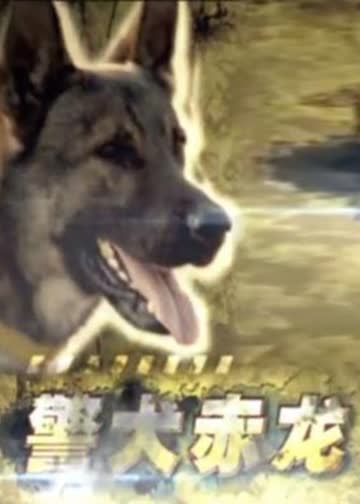 警犬赤龙 海报 高清在线观看