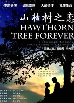 山楂树之恋 海报 高清在线观看