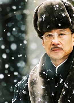 戊子风雪同仁堂 海报 高清在线观看