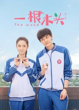 一根木头第二季 海报 高清在线观看