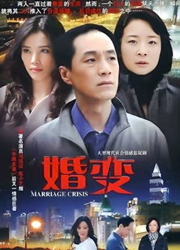 婚变 海报 高清在线观看