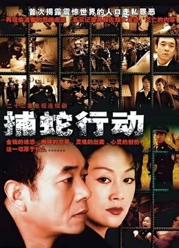 捕蛇行动 海报 高清在线观看
