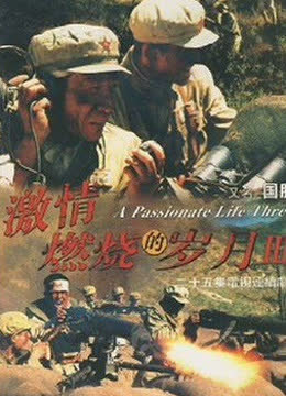 激情燃烧的岁月3 海报 高清在线观看