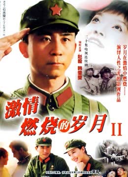激情燃烧的岁月2 海报 高清在线观看
