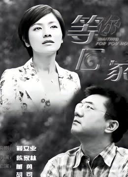 我在等你回家 海报 高清在线观看
