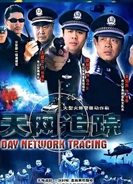 天网追踪 海报 高清在线观看