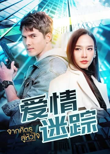 爱情迷踪 海报 高清在线观看