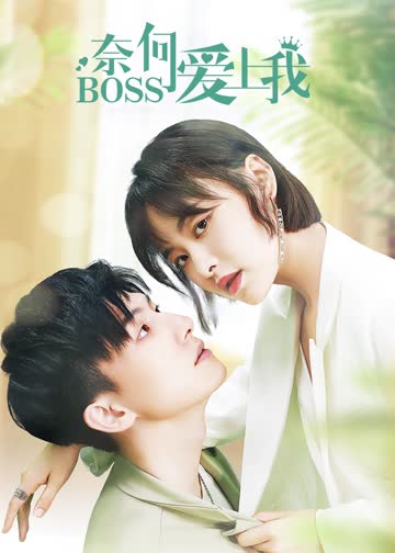 奈何BOSS爱上我 海报 高清在线观看