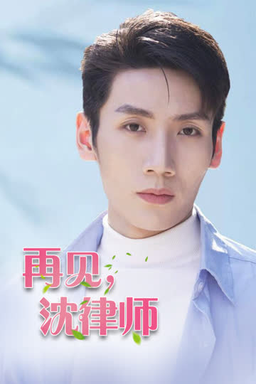 再见沈律师 海报 高清在线观看