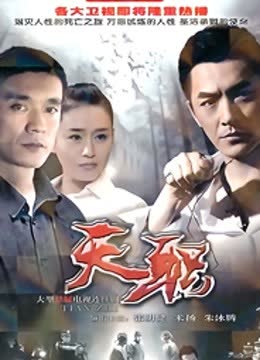 天职 海报 高清在线观看