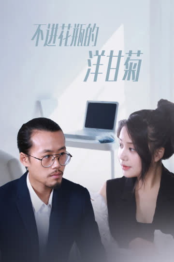 不进花瓶的洋甘菊 海报 高清在线观看