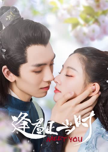 逢君正当时 海报 高清在线观看