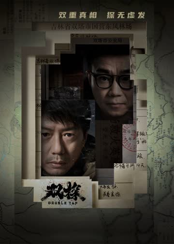 双探 海报 高清在线观看