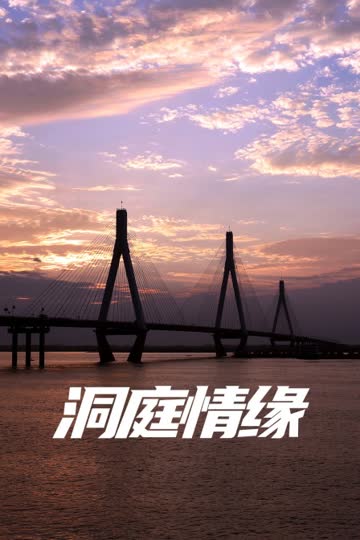 洞庭情缘 海报 高清在线观看