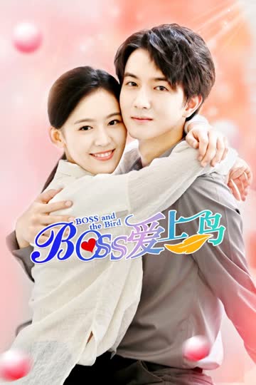 Boss爱上鸟 海报 高清在线观看