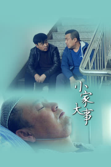 小家大事 海报 高清在线观看
