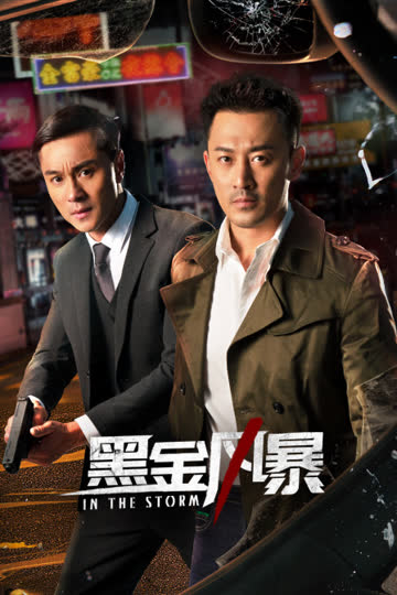 黑金风暴 海报 高清在线观看